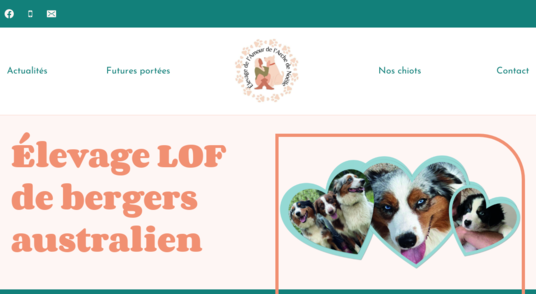 Image du site L'amour de l'arche de Noëlle